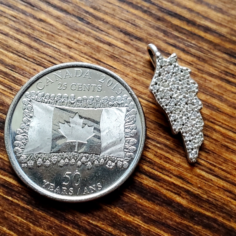 Silver Angel Wing